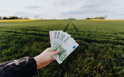 Megjelentek javaslataink a Magyar Nemzeti Bank zöld pénzügyekről szóló összefoglalójában