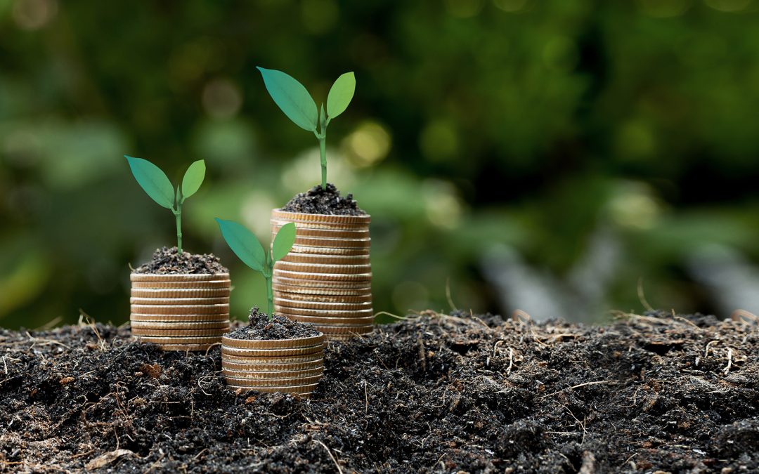Net Zero Banking – új projekt a hazai bankszektor klímasemlegességre történő átállásának támogatására