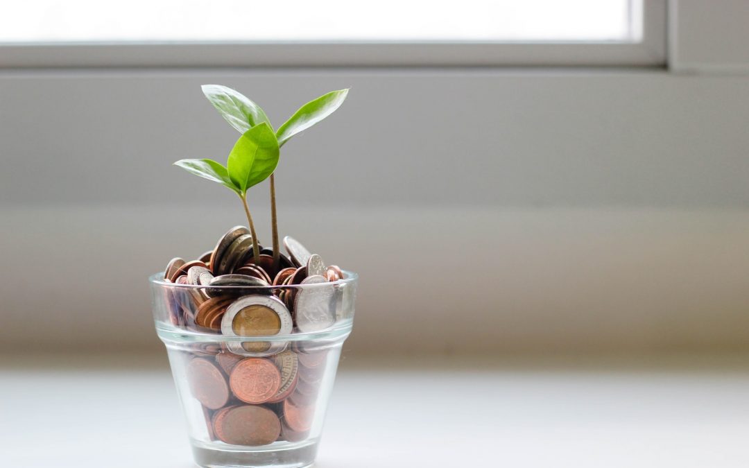 Fenntartható finanszírozás III – Zöld pénzügyek napjainkban