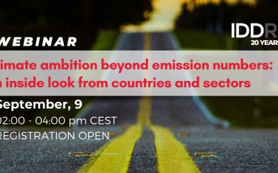 Climate ambition beyond emission numbers: Taking stock of progress by looking inside countries and sectors