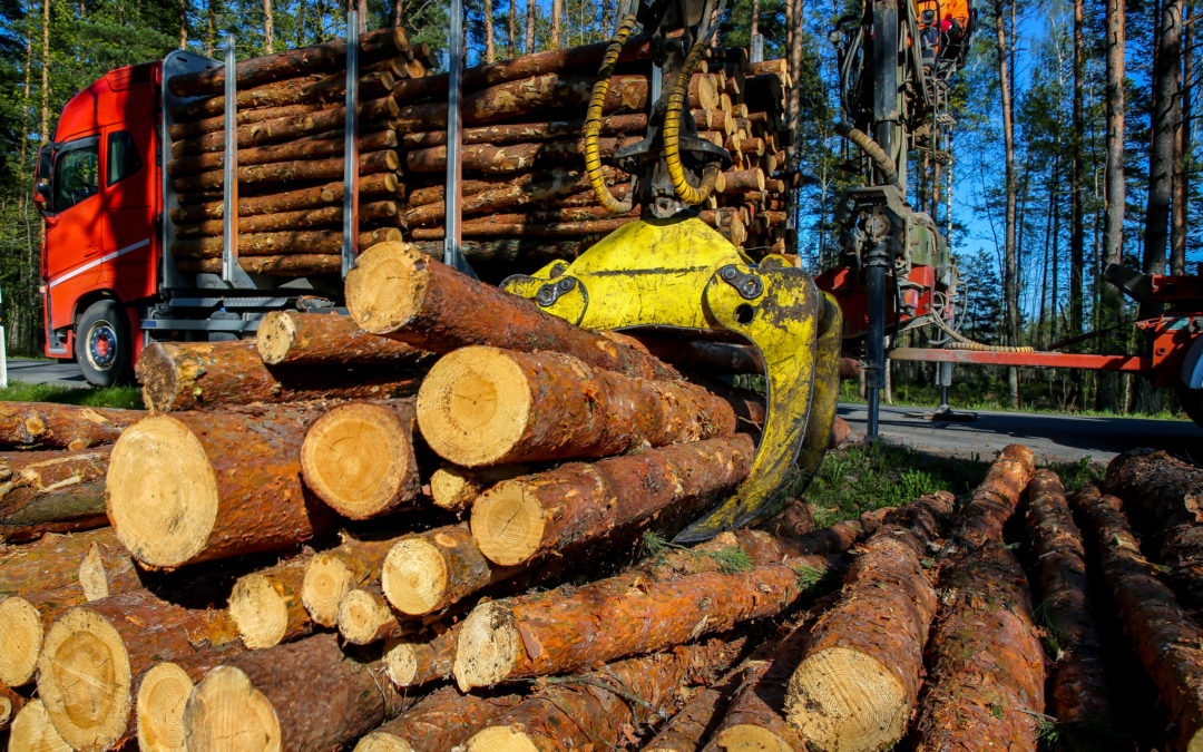 Klímabajnokok – Rendhagyó adás a fakitermelési rendeletről – beszélgetés Koczóh Leventével, a Green Policy Center senior klímapolitikai tanácsadójával