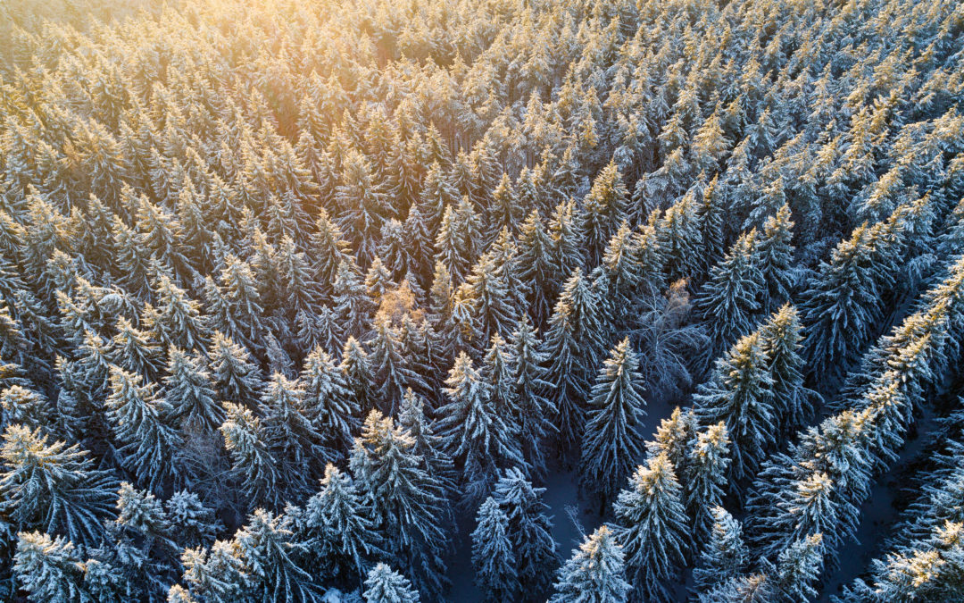 Klímabajnokok – A Green Policy Center rádióműsora – beszélgetés Tóth Andi és Jaczenkó Edit szerzőkkel
