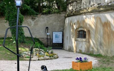 Klímabajnokok – A Green Policy Center rádióműsora – Beszélgetés az ECO ART galéria alapító-tulajdonosával